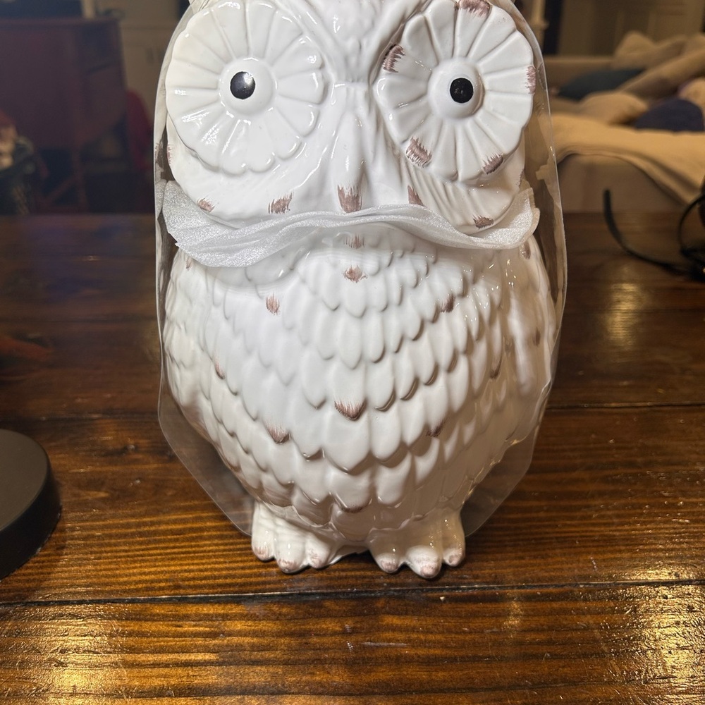 Vintage White Owl Dolomite Cookie Jar – 11″ Ceramic Collectible